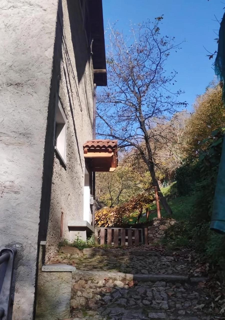 Alpaca'S House: Green, Animals & Lake View Bellano Luaran gambar